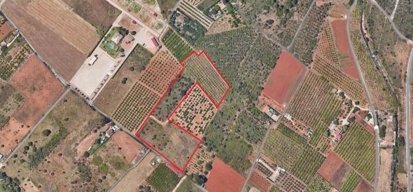 Terreno en La Sella photo 3