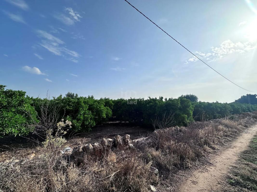 Участок земли на продажу в Пего, Аликанте photo 2