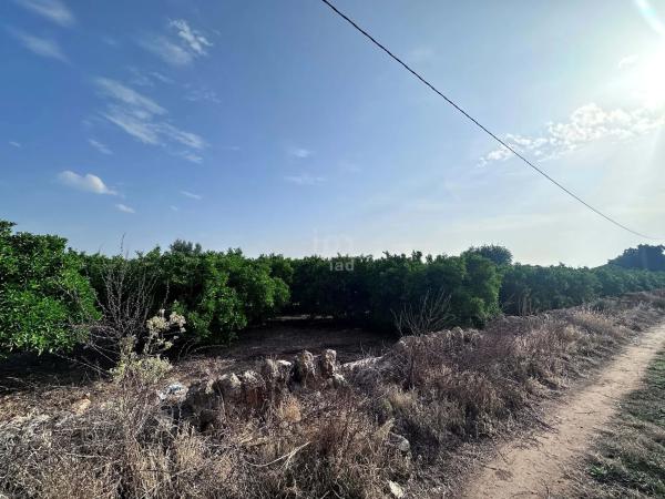Terreno en Pego photo 2