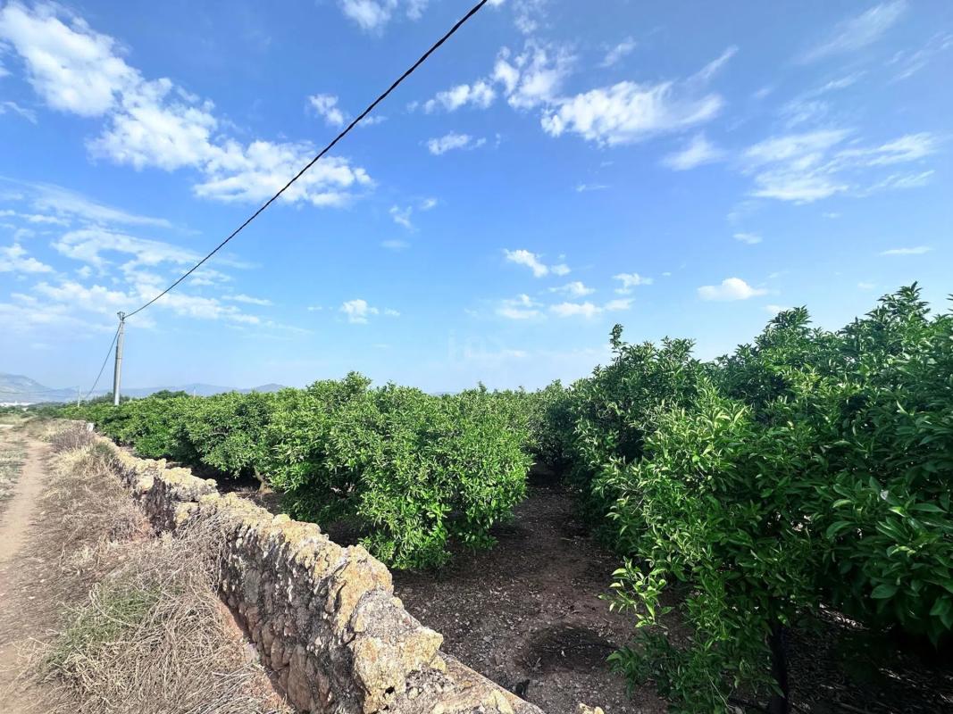 Участок земли на продажу в Пего, Аликанте photo 3