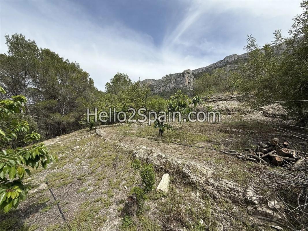 Działka na sprzedaż w Val de Gallinera, Alicante photo 2