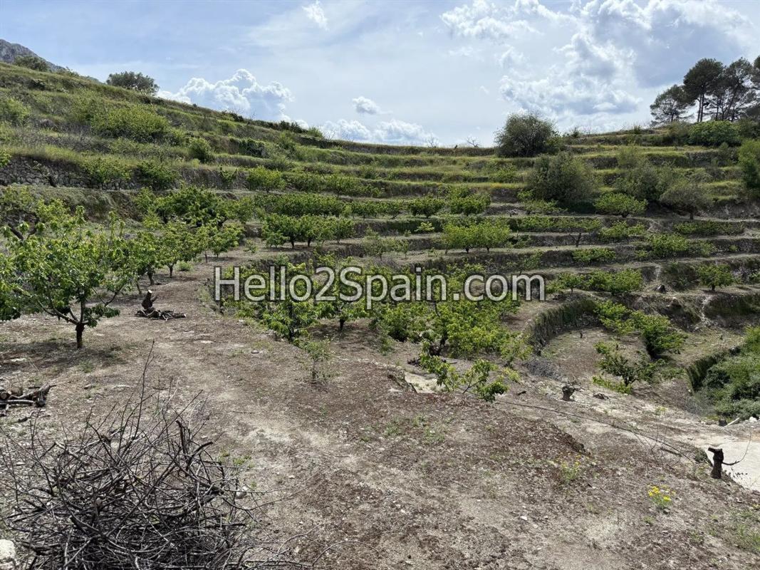 Działka na sprzedaż w Val de Gallinera, Alicante photo 3