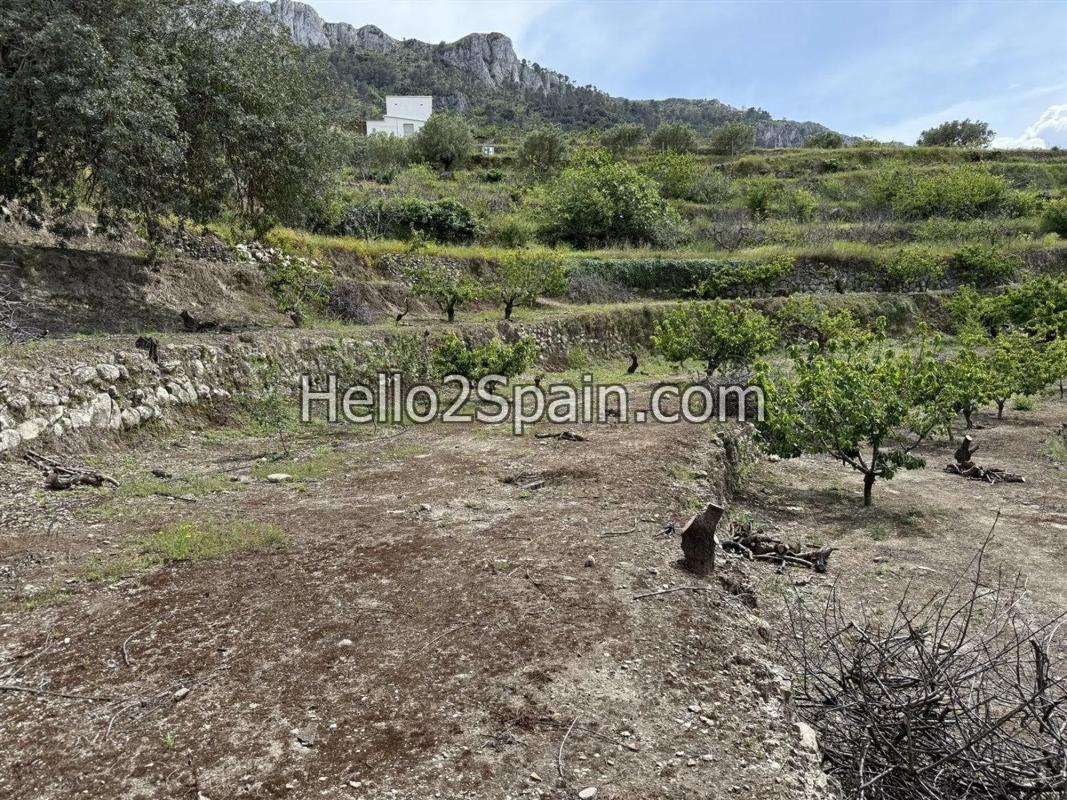 Działka na sprzedaż w Val de Gallinera, Alicante photo 4