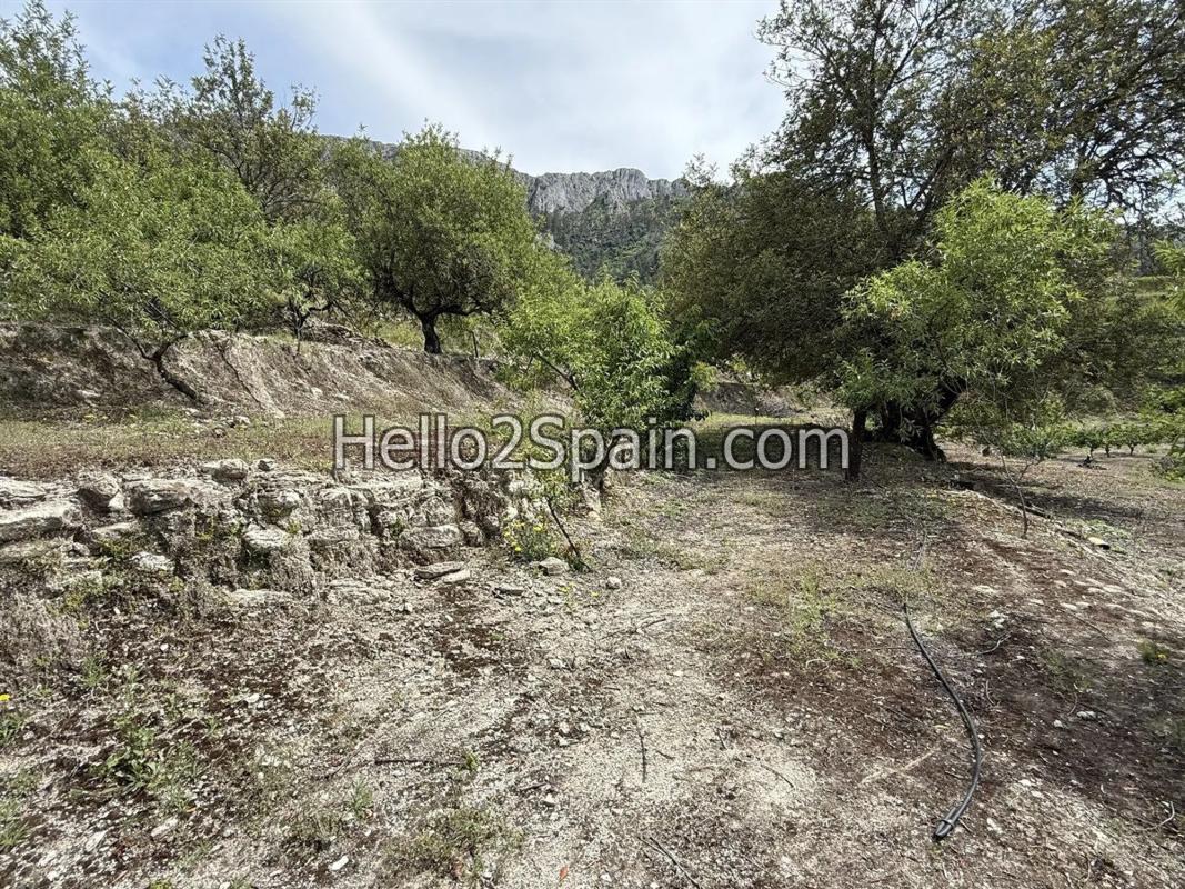 Działka na sprzedaż w Val de Gallinera, Alicante photo 5