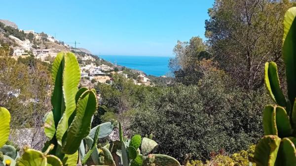 Terreno en Altea la Vella photo 1