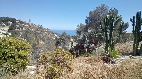 Terreno en Altea la Vella thumbnail 3
