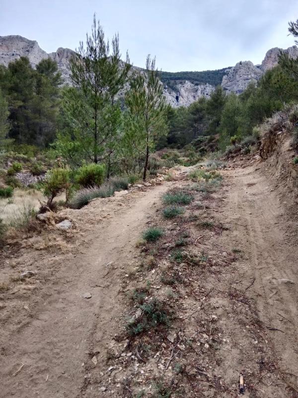 Land for sale in Confrides, Alicante photo 2