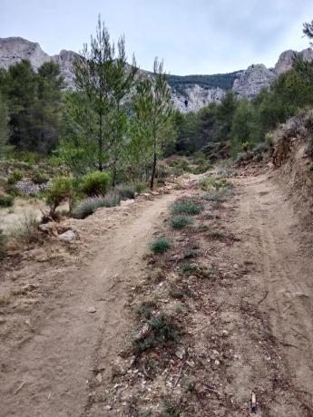 Terreno en Cv-70, km 21 photo 2