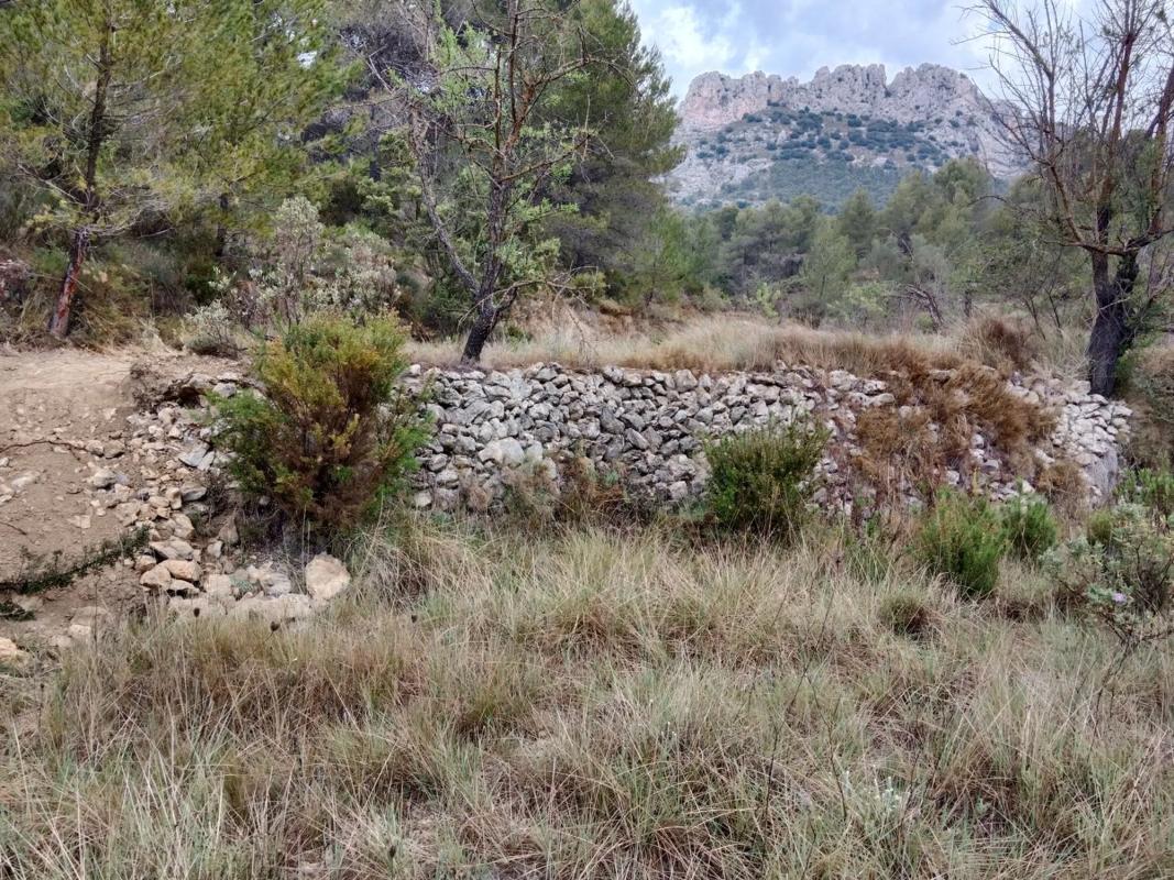 Land for sale in Confrides, Alicante photo 3