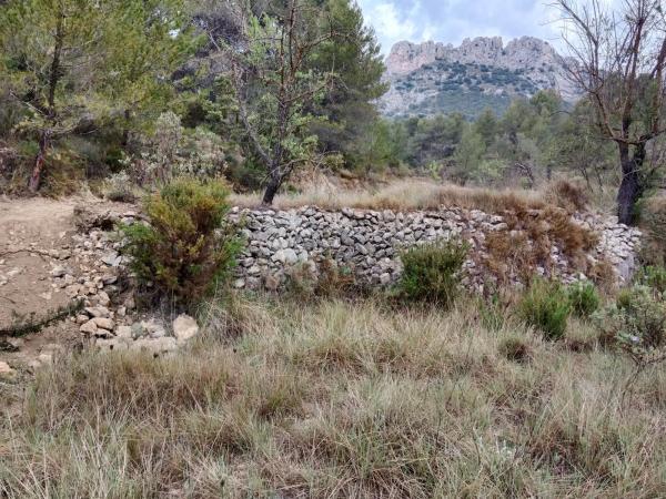 Terreno en Cv-70, km 21 photo 3
