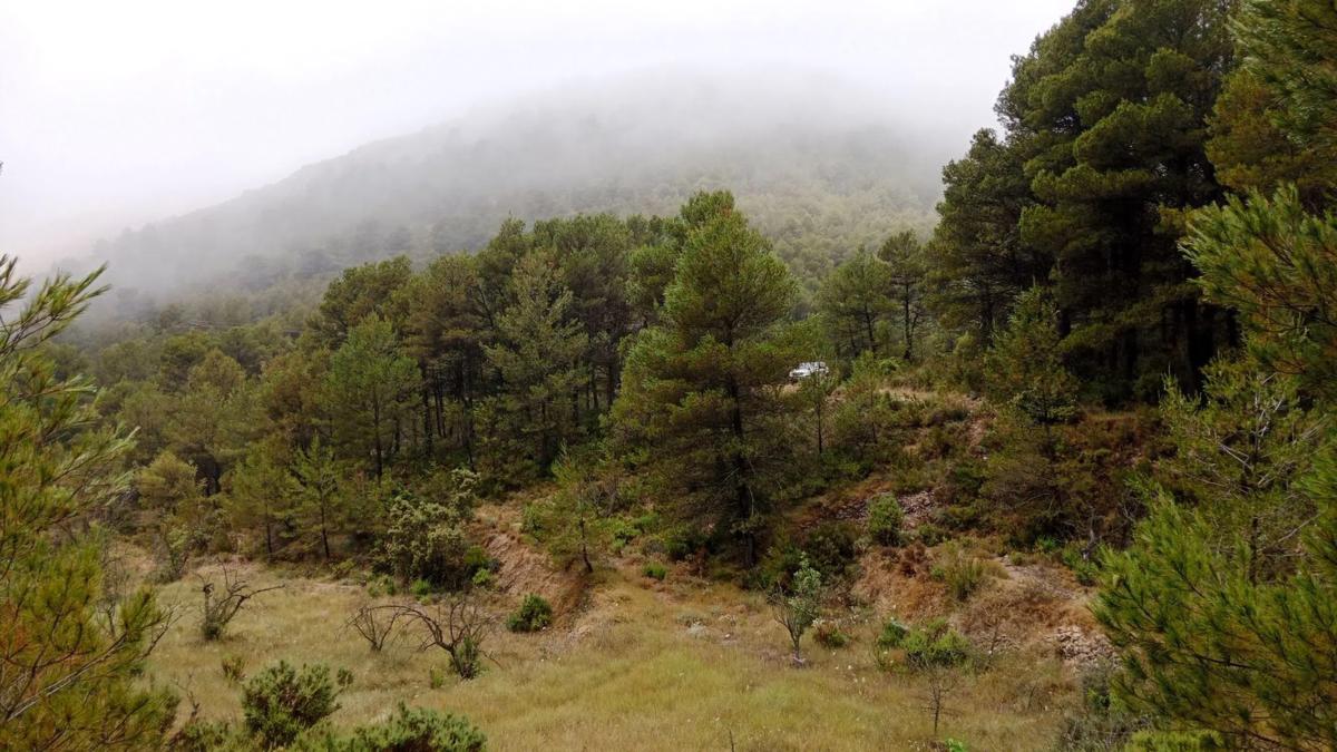 Land for sale in Confrides, Alicante photo 5