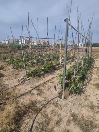 Terreno en El Secanet - Hacienda del Sol photo 3
