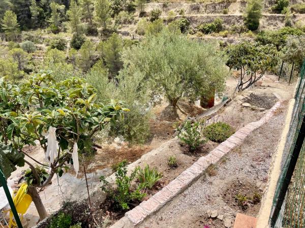 Terreno en partida sagnon s/n photo 2