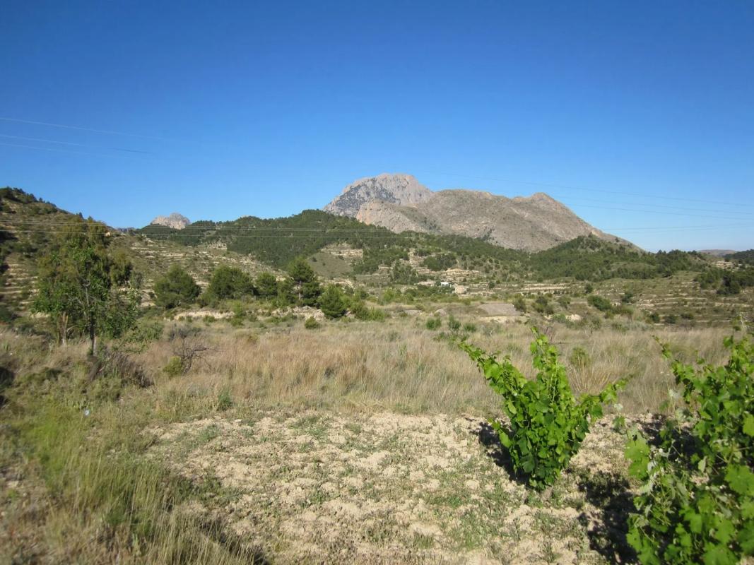 Terreno en venta en Sella, Alicante photo 5