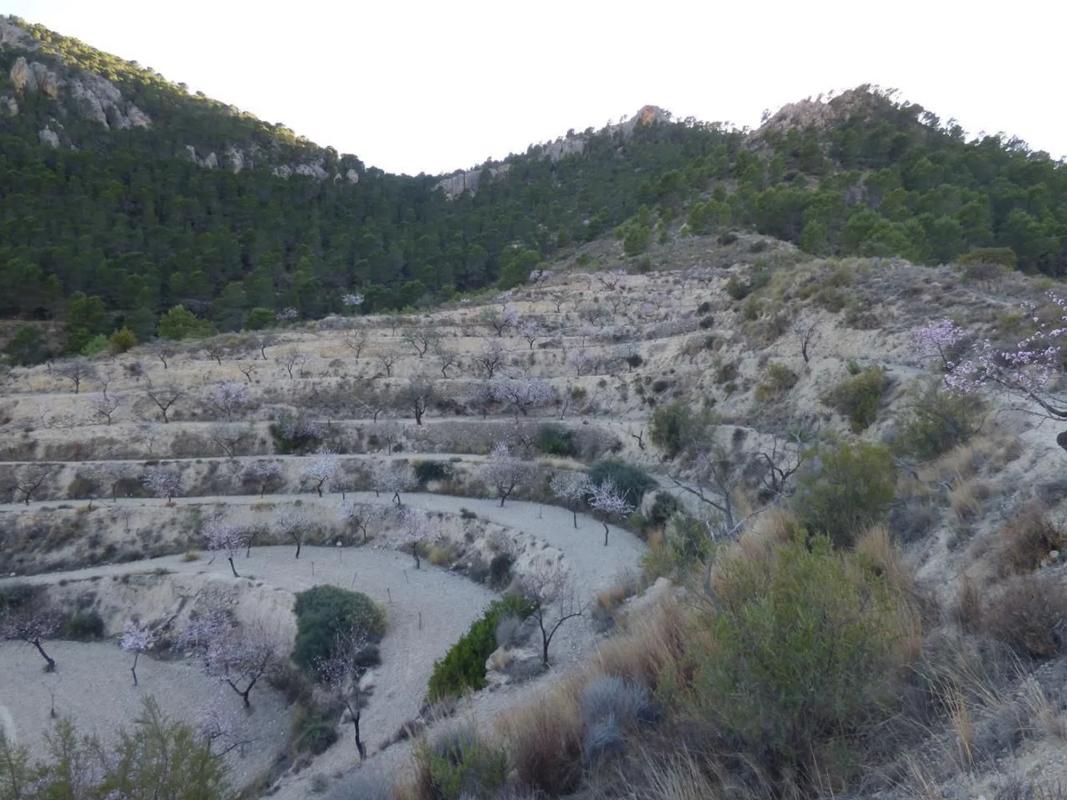 Land for sale in Sella, Alicante photo 1