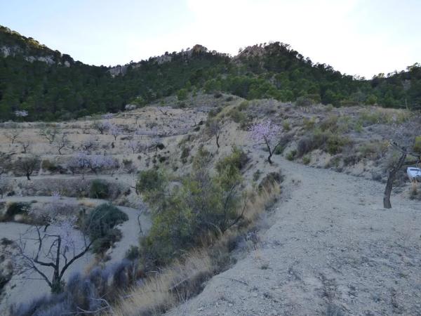 Terreno en Cv-770 photo 2