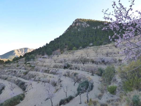 Terreno en Cv-770 photo 3
