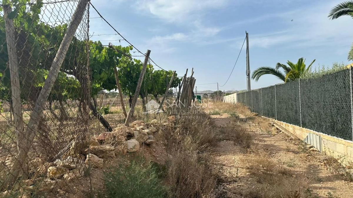 Terreno en venta en Aspe, Alicante photo 1