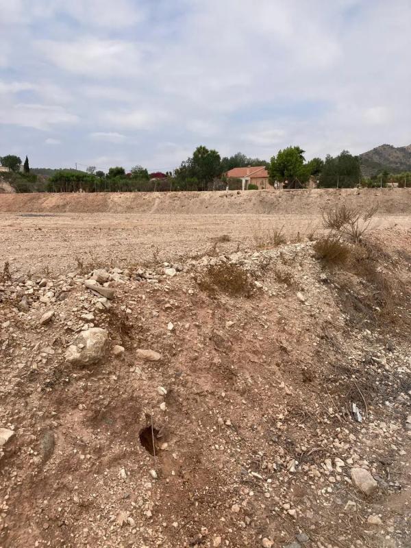 Terreno en venta en La Romana, Alicante photo 3