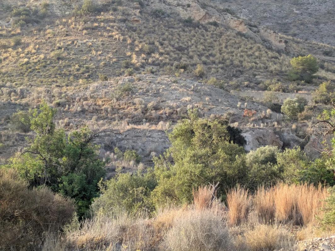 Terreno en venta en Monforte del Cid, Alicante photo 4