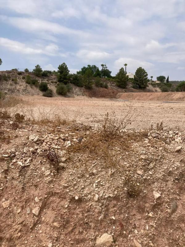 Terreno en venta en La Romana, Alicante photo 5