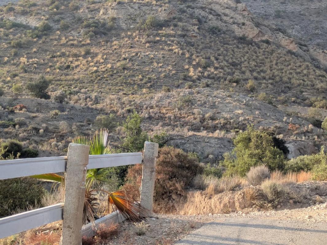 Terreno en venta en Monforte del Cid, Alicante photo 5