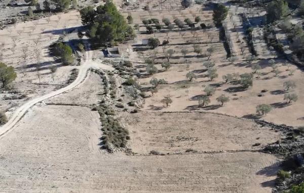 Terreno en Cv-8310 photo 1