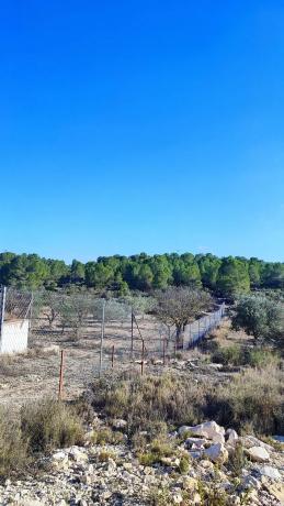 Terreno en Cv-8310 photo 2