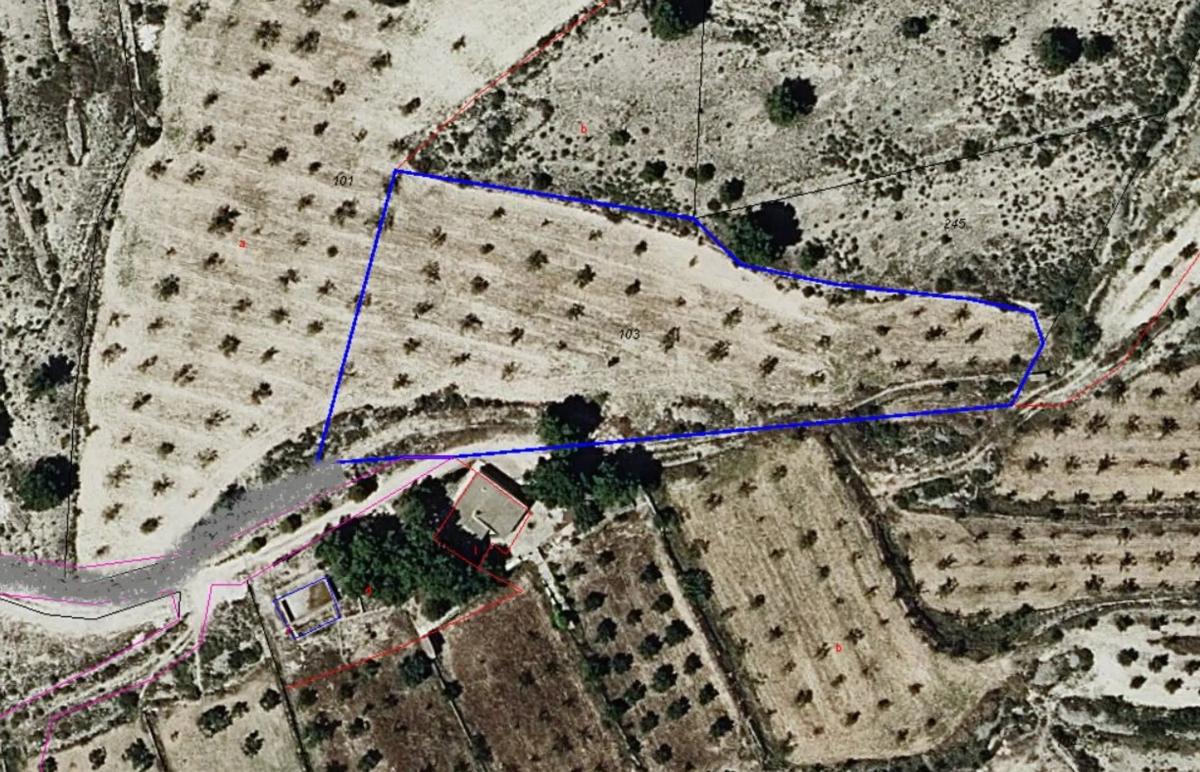 Land for sale in Monovar, Alicante photo 4