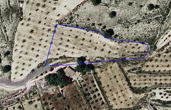 Terreno en Cv-8310 photo 4