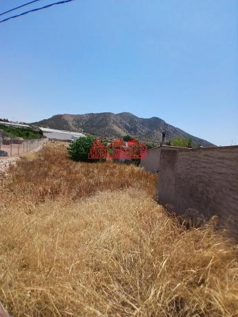Terreno en Algueña photo 3