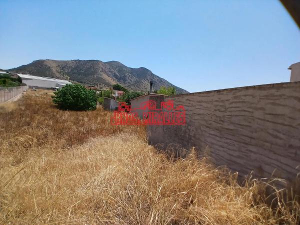Terreno en Algueña photo 4