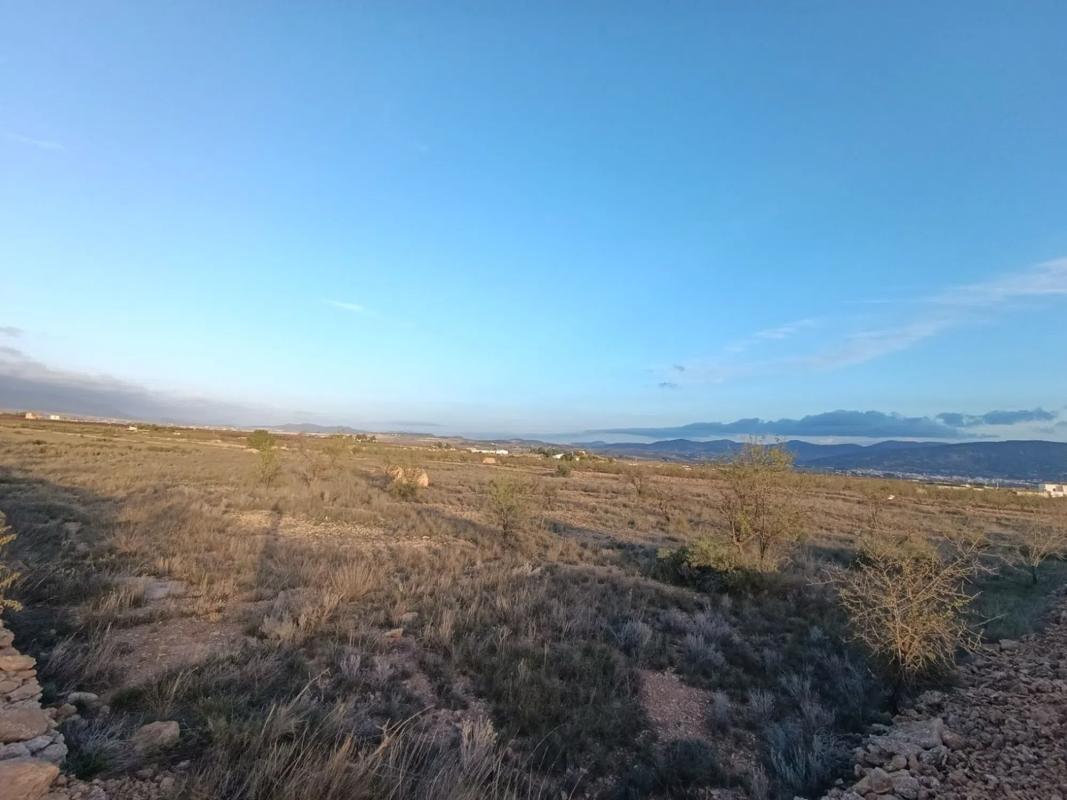 Terreno en venta en Pinoso, Alicante photo 1
