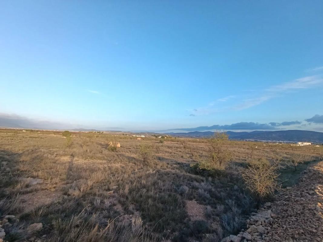 Terreno en venta en Pinoso, Alicante photo 2