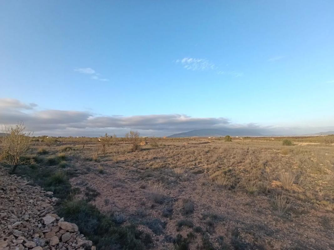 Terreno en venta en Pinoso, Alicante photo 3