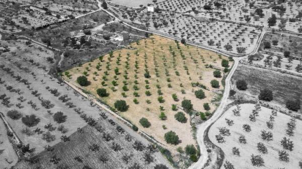 Terreno en Cv-840 photo 1