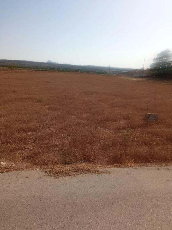Działka na sprzedaż w Hondón de los Frailes, Alicante photo 1