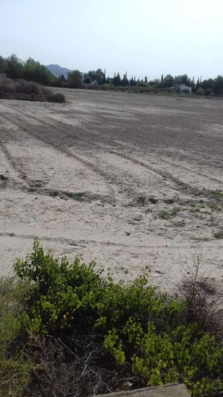 Terreno en venta en Aspe, Alicante photo 2