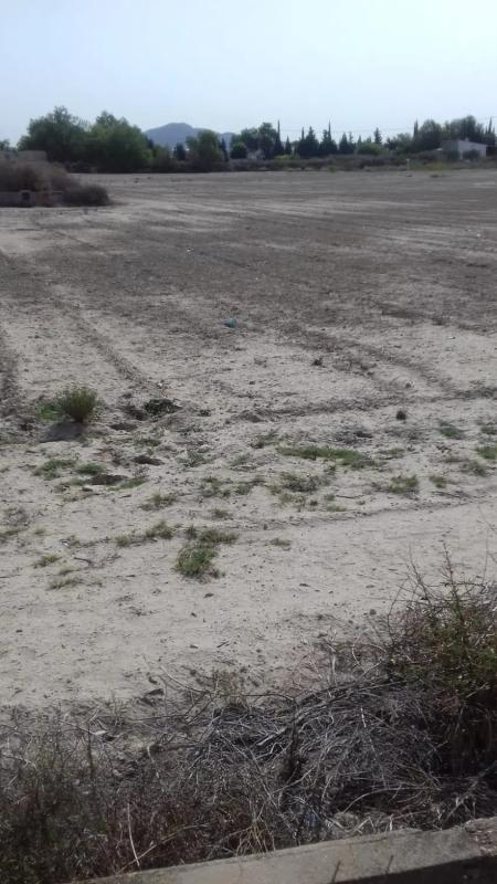 Terreno en venta en Aspe, Alicante photo 3