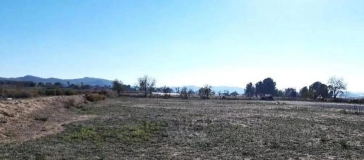 Terreno en venta en Aspe, Alicante photo 4