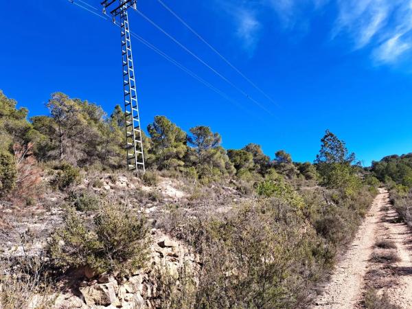Terreno en Diseminado Tres Fuentes s/n photo 1