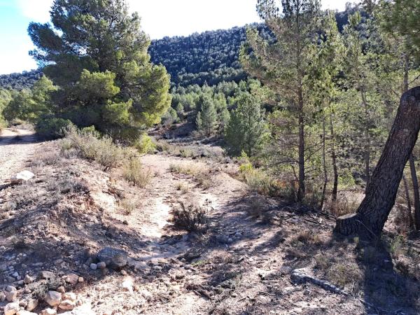 Terreno en Diseminado Tres Fuentes s/n photo 2