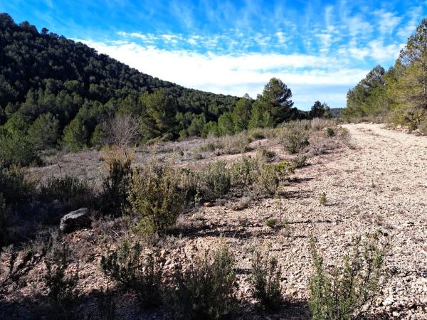 Terreno en Diseminado Tres Fuentes s/n photo 3