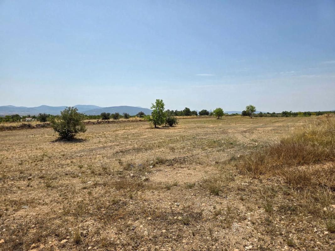 Terreno en venta en Pinoso, Alicante photo 2