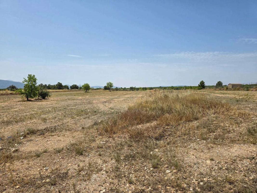 Terreno en venta en Pinoso, Alicante photo 3