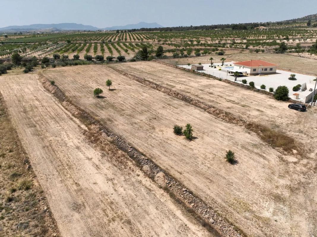 Terreno en venta en Pinoso, Alicante photo 5