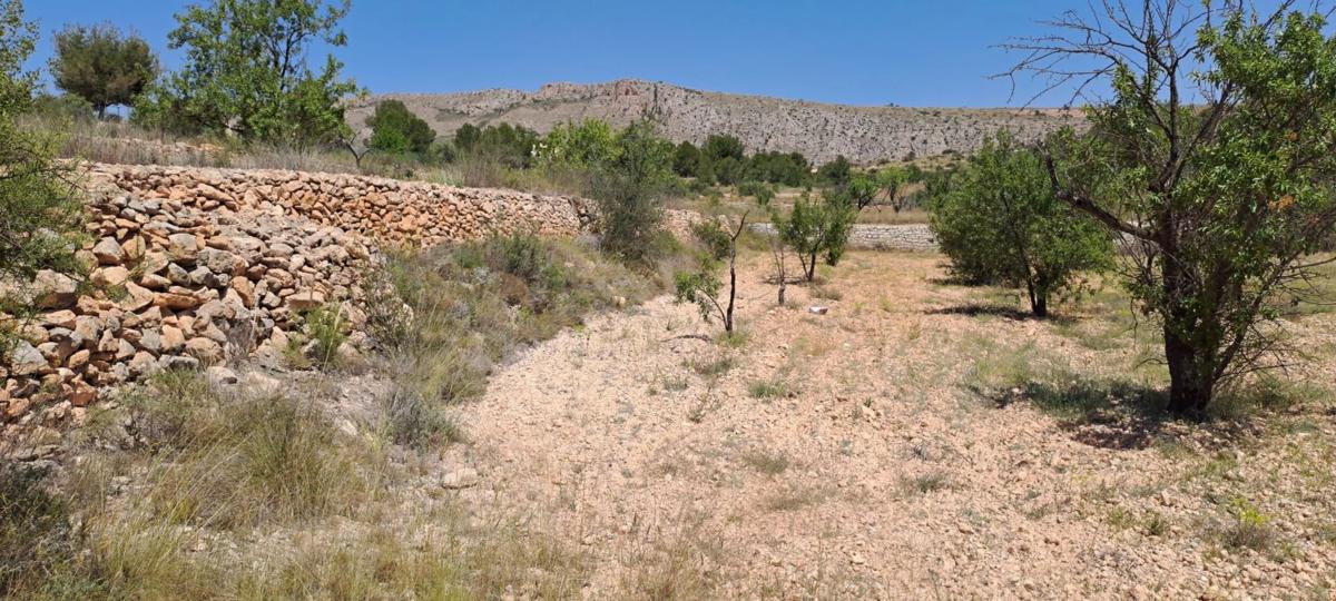 Terreno en venta en Pinoso, Alicante photo 5