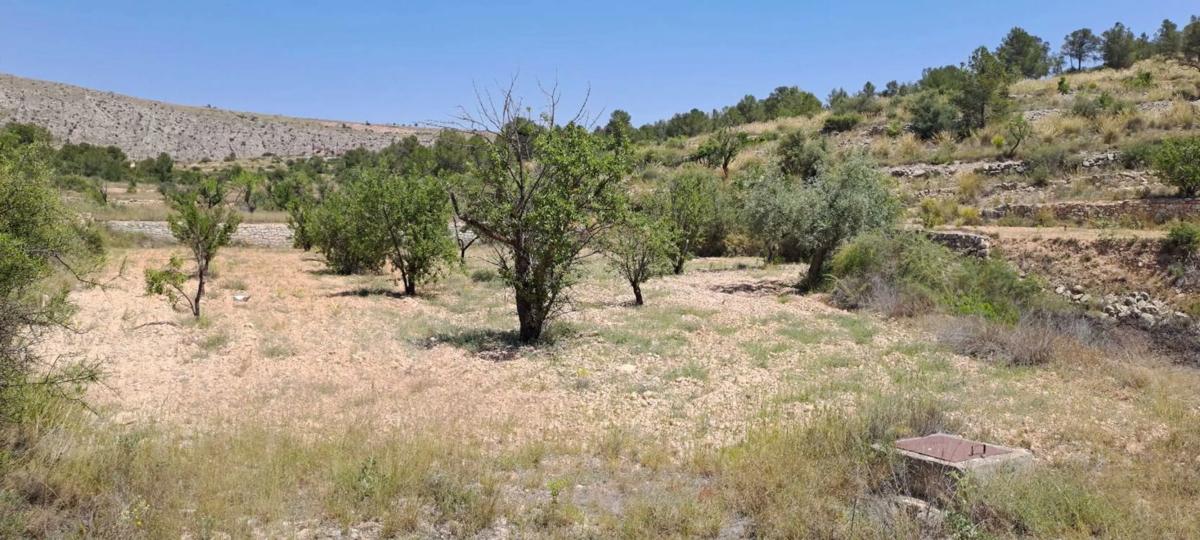 Terreno en venta en Pinoso, Alicante photo 2