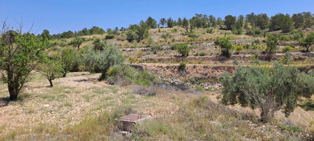 Terreno en venta en Pinoso, Alicante photo 3