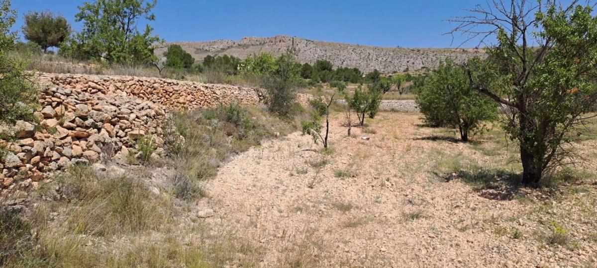 Terreno en venta en Pinoso, Alicante photo 4